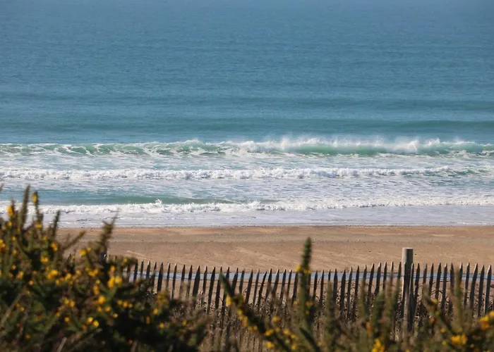 Maison Des Dunes - Proche Hébergement de vacances